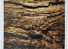 Blair Stencil - Bark