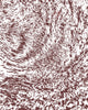Blair Stencil - Fur