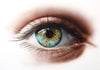 Classroom in a Box: The Sunlit Eye