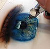 Dru Blair: Airbrush - Textures and Surfaces II</b><p>Held in September 2015</p>