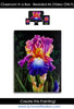 Classroom in a Box - Bearded Iris
