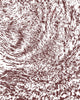 Blair Stencil - Fur