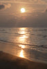 Classroom in a Box: 'Golden Sunrise' kit