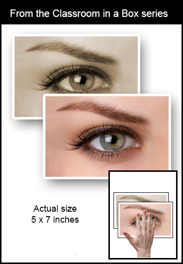 Classroom in a Box: Reference - Eye