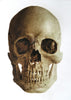 Classroom in a Box: Skull kit