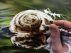 Marcus Eisenhuth: Airbrush - Extreme Macro</b><p>Held in July 2016</p>